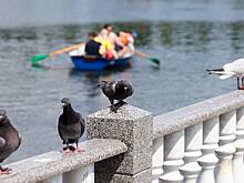 Новоданиловскую набережную капитально отремонтировали на юге Москвы