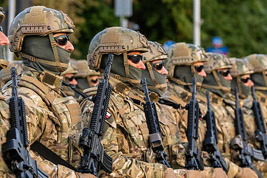 Вице-спикер сейма Босак: армия Польши не готова даже к оборонительной войне