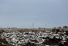 Недавно созданный «Омский региональный экологический оператор» хочет строить мусоросортировочный завод ...