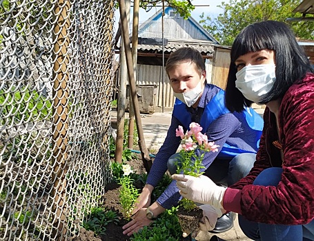Выселковские волонтеры благоустроили дворовые территории ветеранов