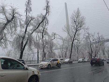 Ледяной дождь 2.0: во Владивостоке повторился кошмар двухлетней давности