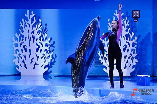 Нижегородский минстрой разрешил строительство океанариума на Гребном канале