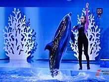 Нижегородский минстрой разрешил строительство океанариума на Гребном канале