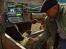 В России снимут сериал о фермере, живущем на Марсе в кибердеревне