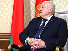 В России высказались о встрече Лукашенко и представителя Трампа