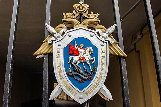 В Госдуме попросили Бастрыкина проверить роддом в Новокузнецке, где умерли дети