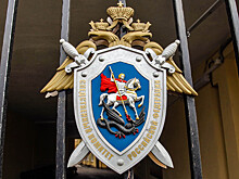 В Госдуме попросили Бастрыкина проверить роддом в Новокузнецке, где умерли дети