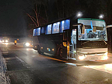 Под Красноярском сбитый автобусом студент-сирота погиб под колесами КамАЗа