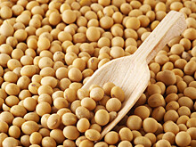 «Приморская соя» может возобновить работу весной 2020 года