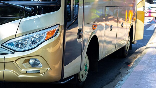 В Зимбабве будут собирать белорусские автобусы