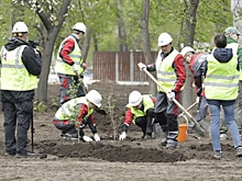Карабаш украсили более 100 саженцев от РМК