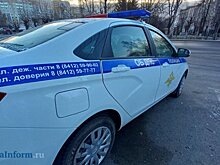 В Пензенской области будут массово проверять водителей