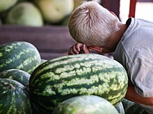 «Взрыв» арбуза завирусился в Сети