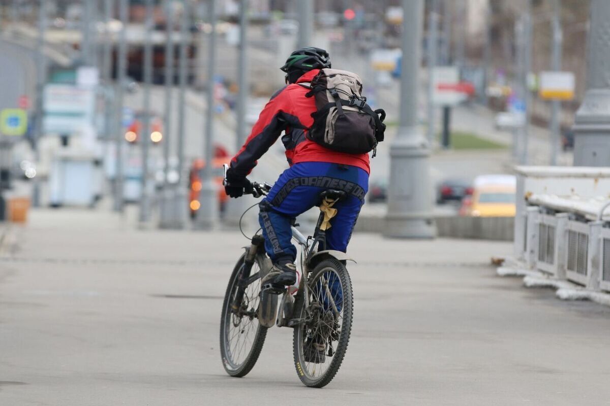 Сибиряк уличён в хищении 16,6 млн рублей для аферистов