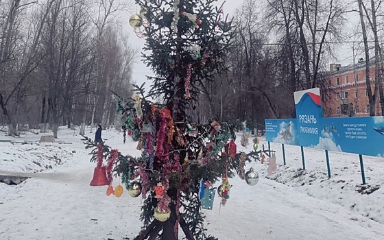 В Рязани елка на Белякова потрясла эстетов и не только