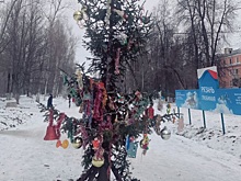 В Рязани елка на Белякова потрясла эстетов и не только