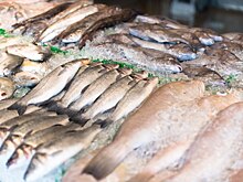 В Калининградскую область не пустили более 25 кг мяса и «молочки» из Польши и Литвы