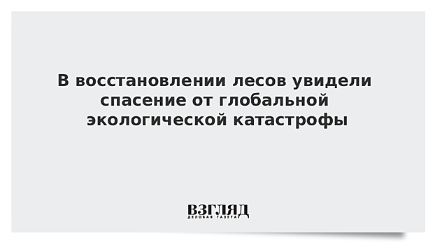 В восстановлении лесов увидели спасение от глобальной экологической катастрофы