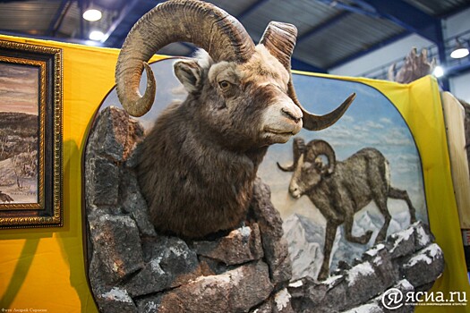 Край охоты и туризма: В Якутске открылась специализированная выставка-ярмарка