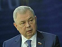 В Совфеде оценили прогнозный ущерб от теневой занятости в 11 триллионов рублей
