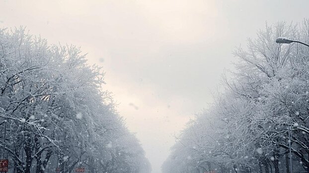 Небольшой снег ожидается в Кирове в эту субботу
