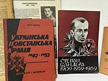 Очередное свинство в Киеве, на сей раз в еврейской библиотеке