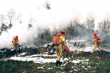 Ухудшение пожарной обстановки: Хабаровский край вводит особый противопожарный режим