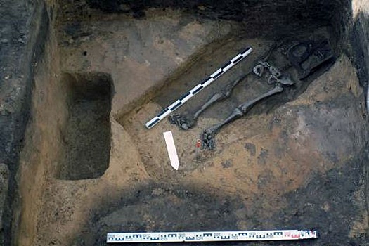 В городе Дмитрове археологами обнаружен средневековый некрополь