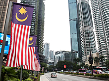 Власти Малайзии официально ввели термин «дуриановая дипломатия» для описания торговых связей с КНР