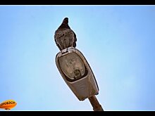 Мэр Уфы рассказал, когда появится освещение в микрорайонах города