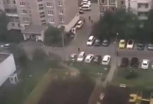 В полиции назвали истинных зачинщиков массовой драки на севере Москвы