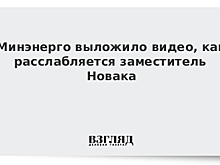 Минэнерго показало, как расслабляется зам Новака