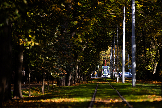 В Калининграде в два раза увеличат скорость движения трамваев