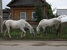 Фермерам вручили гранты