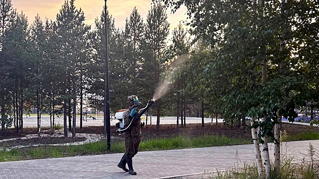 В Муравленко до 25 июня обработают от клещей и комаров