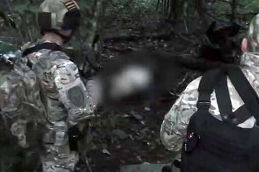 ФСБ опубликовала видео задержания участников ДРГ в Брянской области