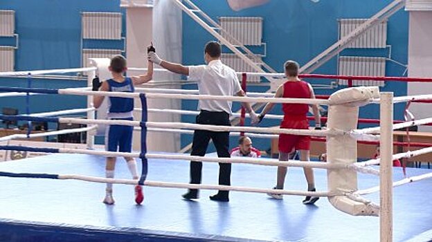 Таджикские боксеры – в мировых рейтингах