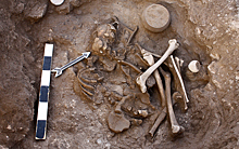 Сравнение мтДНК скелетов и современных армян показало неожиданные результаты