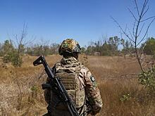 «План Трампа» оставил открытым вопрос - что будет с Херсоном, Запорожьем, Купянском и землями Днепропетровщины?