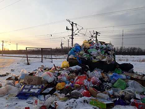 «Помойка, расти!»: в Волгограде с прошлого года ни разу не убрали мусорку с видом на «Родину-мать»