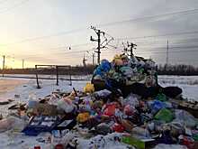 «Помойка, расти!»: в Волгограде с прошлого года ни разу не убрали мусорку с видом на «Родину-мать»