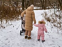 Экономист оценил расходы бюджета на выплаты семьям с детьми