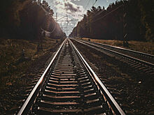 Туск: Взрыв на ж/д в Польше совершили украинцы