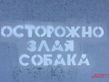 На Урале суд оштрафовал хозяина собаки, убившей пенсионера