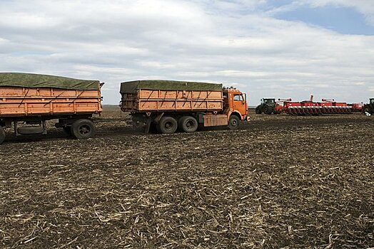 Россия стала вторым основным экспортером удобрений в США