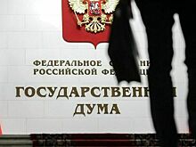 Бастрыкина хотят пригласить на заседание Госдумы