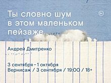 «Ты словно шум в этом маленьком пейзаже»: новая выставка откроется во Владивостоке