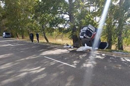 В Орловской области опрокинулась Lada Largus: пострадали два человека