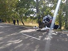 В Орловской области опрокинулась Lada Largus: пострадали два человека