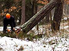 Народный календарь. Как не навлечь беду 26 марта